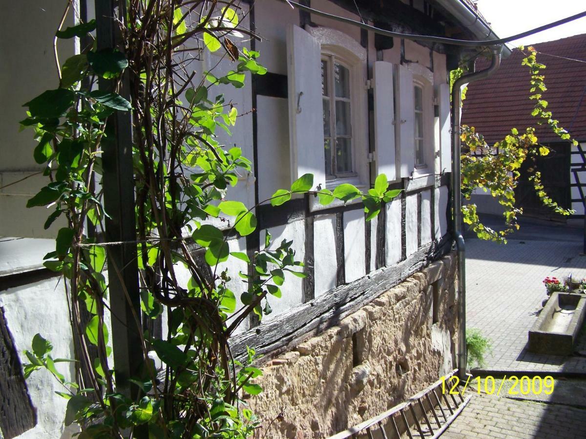 Gîte&Chambres d'hôtes Sabine Billmann Hunspach Exterior foto
