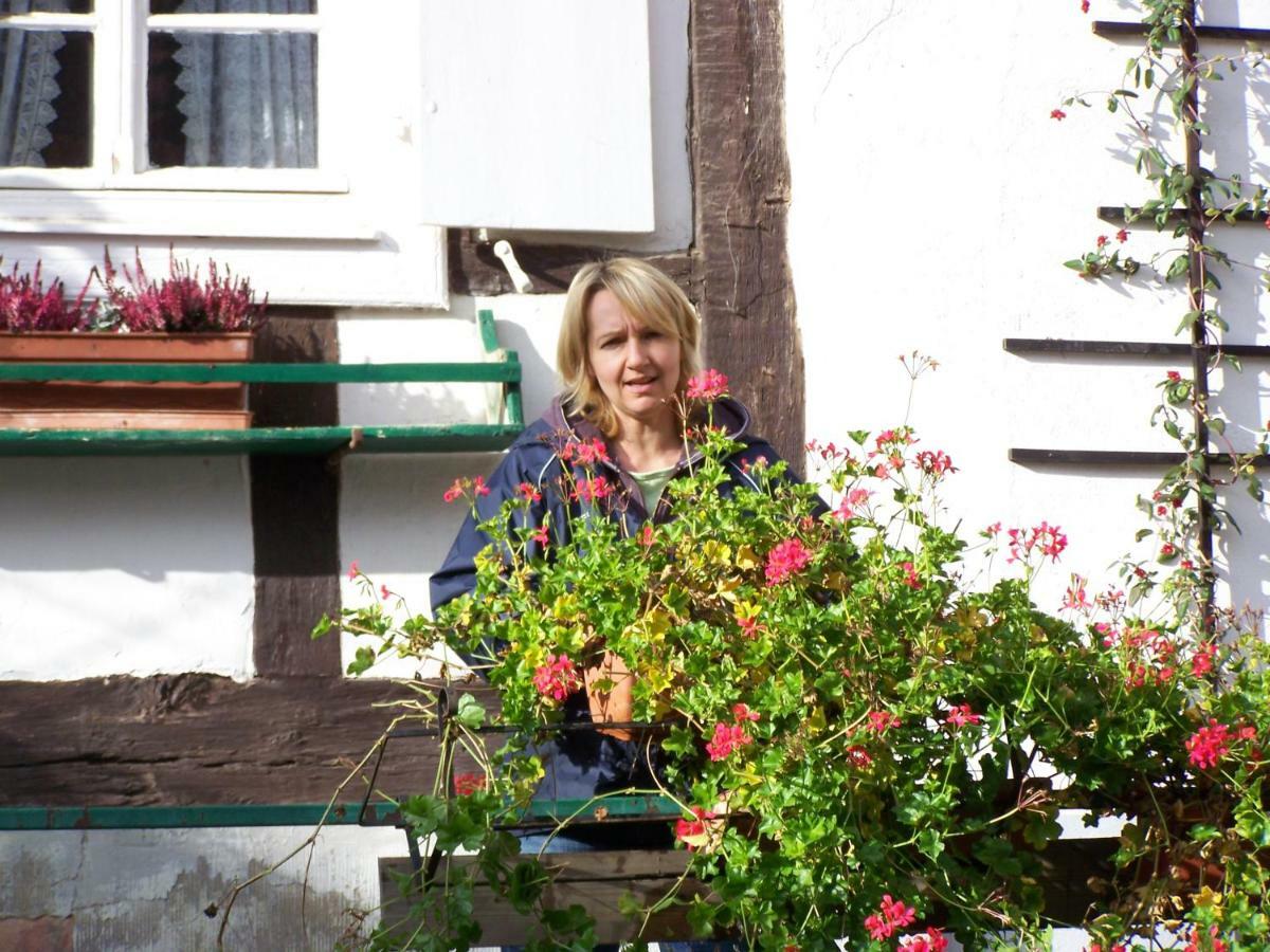 Gîte&Chambres d'hôtes Sabine Billmann Hunspach Exterior foto